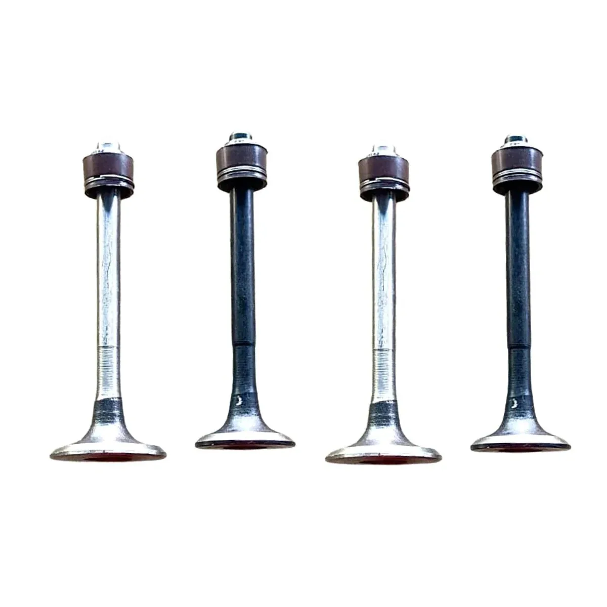 Engine Valve Set for Bajaj Pulsar 135 DTSi | 4 Valves with Seal