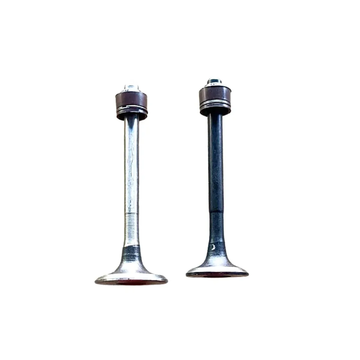 Engine Valve Set for TVS Phoenix | 2 Valves with seal